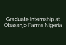 Graduate Internship at Obasanjo Farms Nigeria