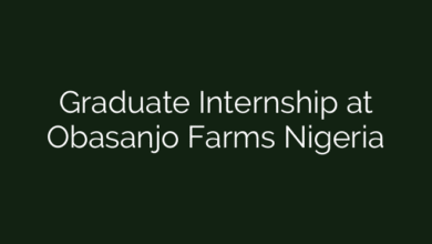Graduate Internship at Obasanjo Farms Nigeria