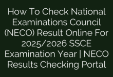 How To Check National Examinations Council (NECO) Result Online For 2025/2026 SSCE Examination Year | NECO Results Checking Portal