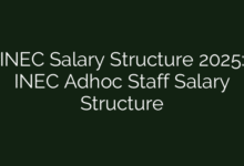 INEC Salary Structure 2025: INEC Adhoc Staff Salary Structure