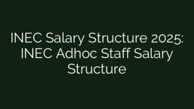 INEC Salary Structure 2025: INEC Adhoc Staff Salary Structure