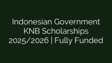 Indonesian Government KNB Scholarships 2025/2026 | Fully Funded