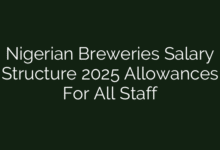 Nigerian Breweries Salary Structure 2025 Allowances For All Staff