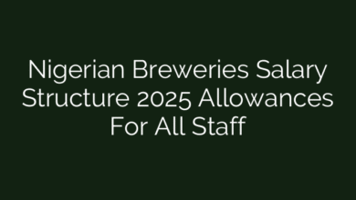 Nigerian Breweries Salary Structure 2025 Allowances For All Staff