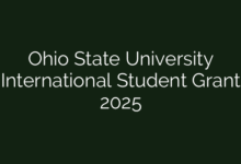 Ohio State University International Student Grant 2025