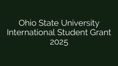 Ohio State University International Student Grant 2025