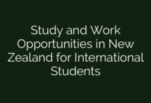Study and Work Opportunities in New Zealand for International Students