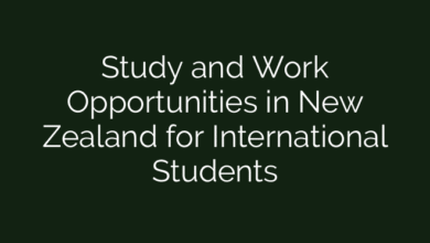 Study and Work Opportunities in New Zealand for International Students