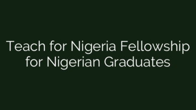 Teach for Nigeria Fellowship for Nigerian Graduates