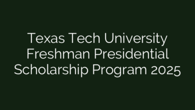 Texas Tech University Freshman Presidential Scholarship Program 2025