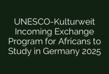 UNESCO-Kulturweit Incoming Exchange Program for Africans to Study in Germany 2025