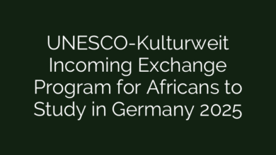 UNESCO-Kulturweit Incoming Exchange Program for Africans to Study in Germany 2025