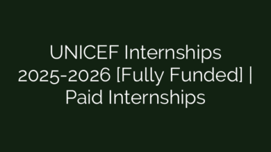UNICEF Internships 2025-2026 [Fully Funded] | Paid Internships