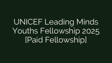 UNICEF Leading Minds Youths Fellowship 2025 [Paid Fellowship]