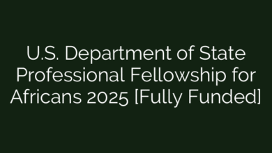 U.S. Department of State Professional Fellowship for Africans 2025 [Fully Funded]