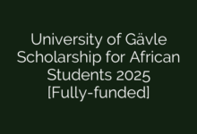 University of Gävle Scholarship for African Students 2025 [Fully-funded]