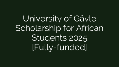 University of Gävle Scholarship for African Students 2025 [Fully-funded]