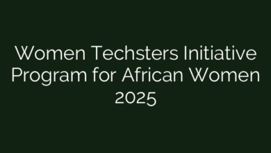 Women Techsters Initiative Program for African Women 2025