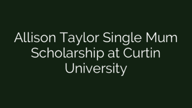 Allison Taylor Single Mum Scholarship at Curtin University