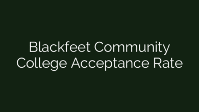 Blackfeet Community College Acceptance Rate