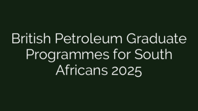 British Petroleum Graduate Programmes for South Africans 2025