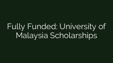 Fully Funded: University of Malaysia Scholarships