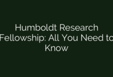 Humboldt Research Fellowship: All You Need to Know