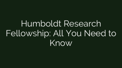 Humboldt Research Fellowship: All You Need to Know