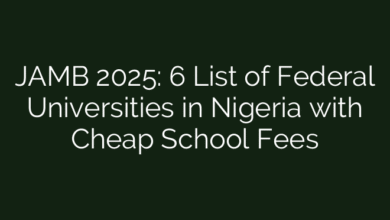 JAMB 2025: 6 List of Federal Universities in Nigeria with Cheap School Fees