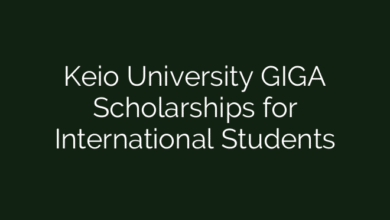 Keio University GIGA Scholarships for International Students