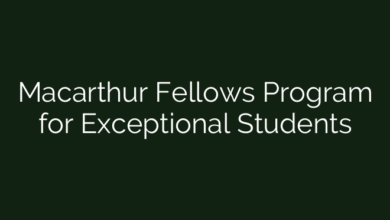 Macarthur Fellows Program for Exceptional Students
