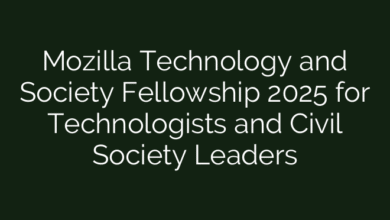 Mozilla Technology and Society Fellowship 2025 for Technologists and Civil Society Leaders