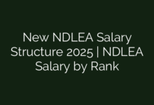 New NDLEA Salary Structure 2025 | NDLEA Salary by Rank