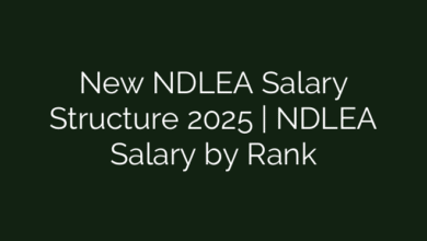 New NDLEA Salary Structure 2025 | NDLEA Salary by Rank