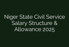 Niger State Civil Service Salary Structure & Allowance 2025