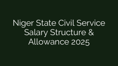 Niger State Civil Service Salary Structure & Allowance 2025