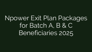 Npower Exit Plan Packages for Batch A, B & C Beneficiaries 2025