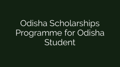 Odisha Scholarships Programme for Odisha Student