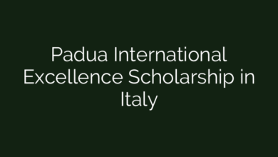 Padua International Excellence Scholarship in Italy
