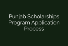 Punjab Scholarships Program Application Process