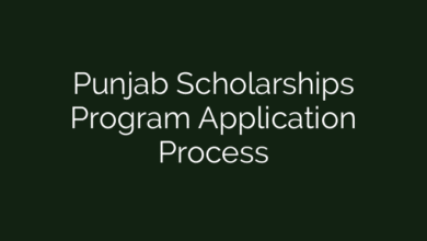Punjab Scholarships Program Application Process