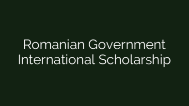Romanian Government International Scholarship