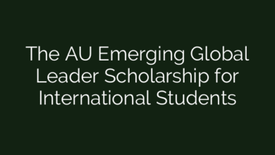 The AU Emerging Global Leader Scholarship for International Students