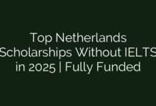 Top Netherlands Scholarships Without IELTS in 2025 | Fully Funded
