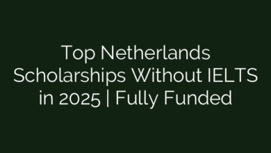Top Netherlands Scholarships Without IELTS in 2025 | Fully Funded