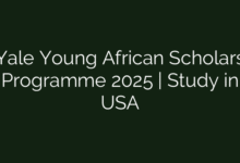 Yale Young African Scholars Programme 2025 | Study in USA